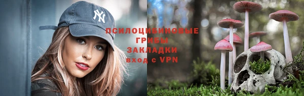 таблы Алзамай