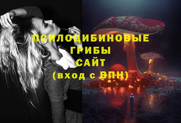 спайс Алексеевка
