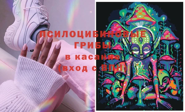спайс Алексеевка