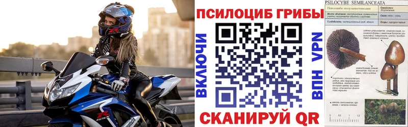 Псилоцибиновые грибы GOLDEN TEACHER Заполярный